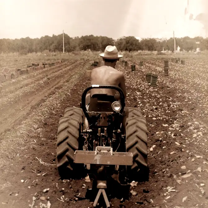 Agricola Giardina dal 1939