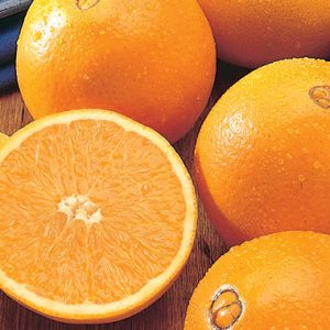 Arance Navel Agricola Giardina Acquista Online